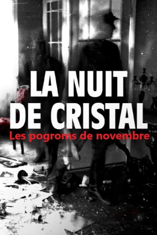 La Nuit de cristal : Les pogroms de novembre