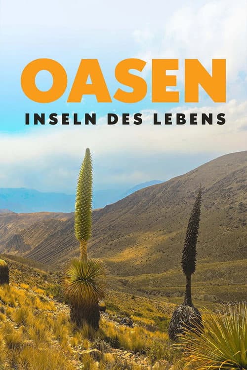 Oasen: Inseln des Lebens