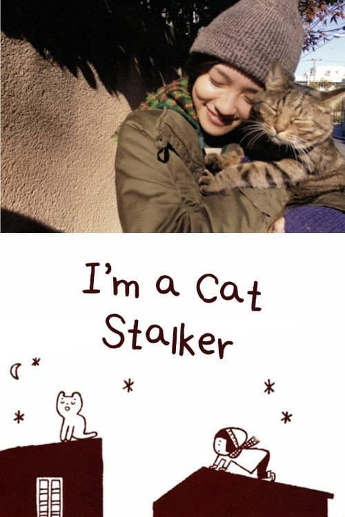 I’m a Cat Stalker