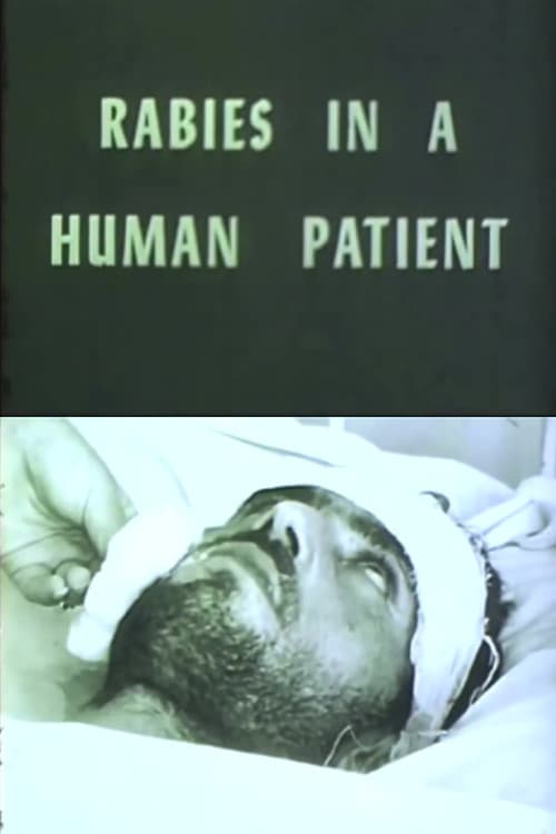 Rabies in a Human Patient