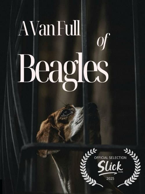 A Van Full of Beagles