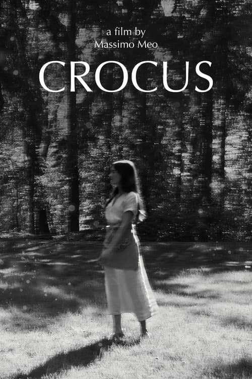 Crocus