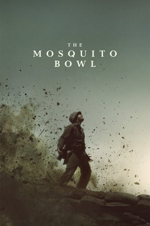 The Mosquito Bowl