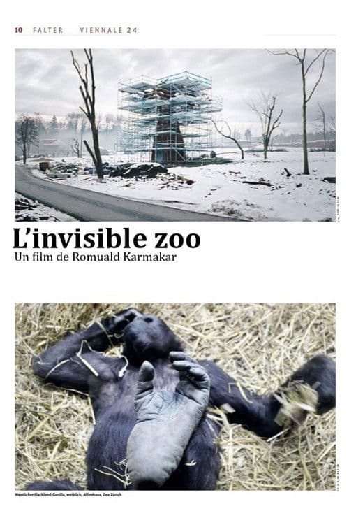The Invisible Zoo