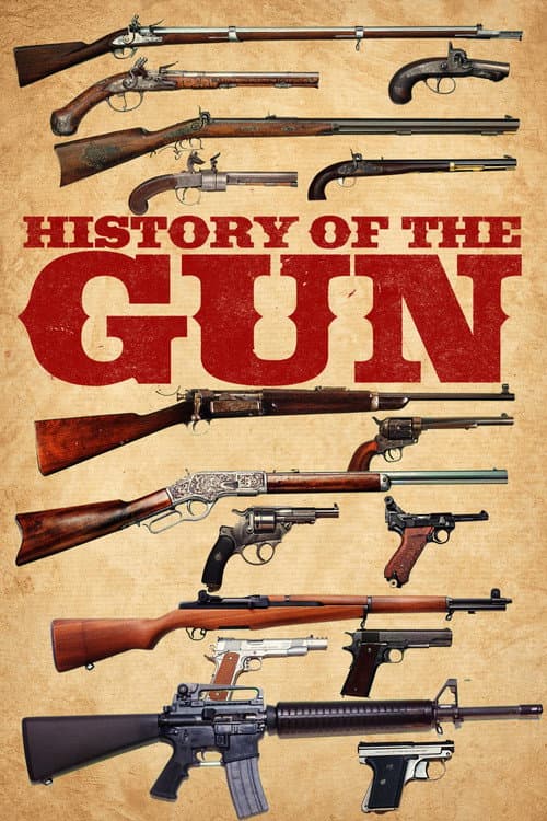 History of the Gun